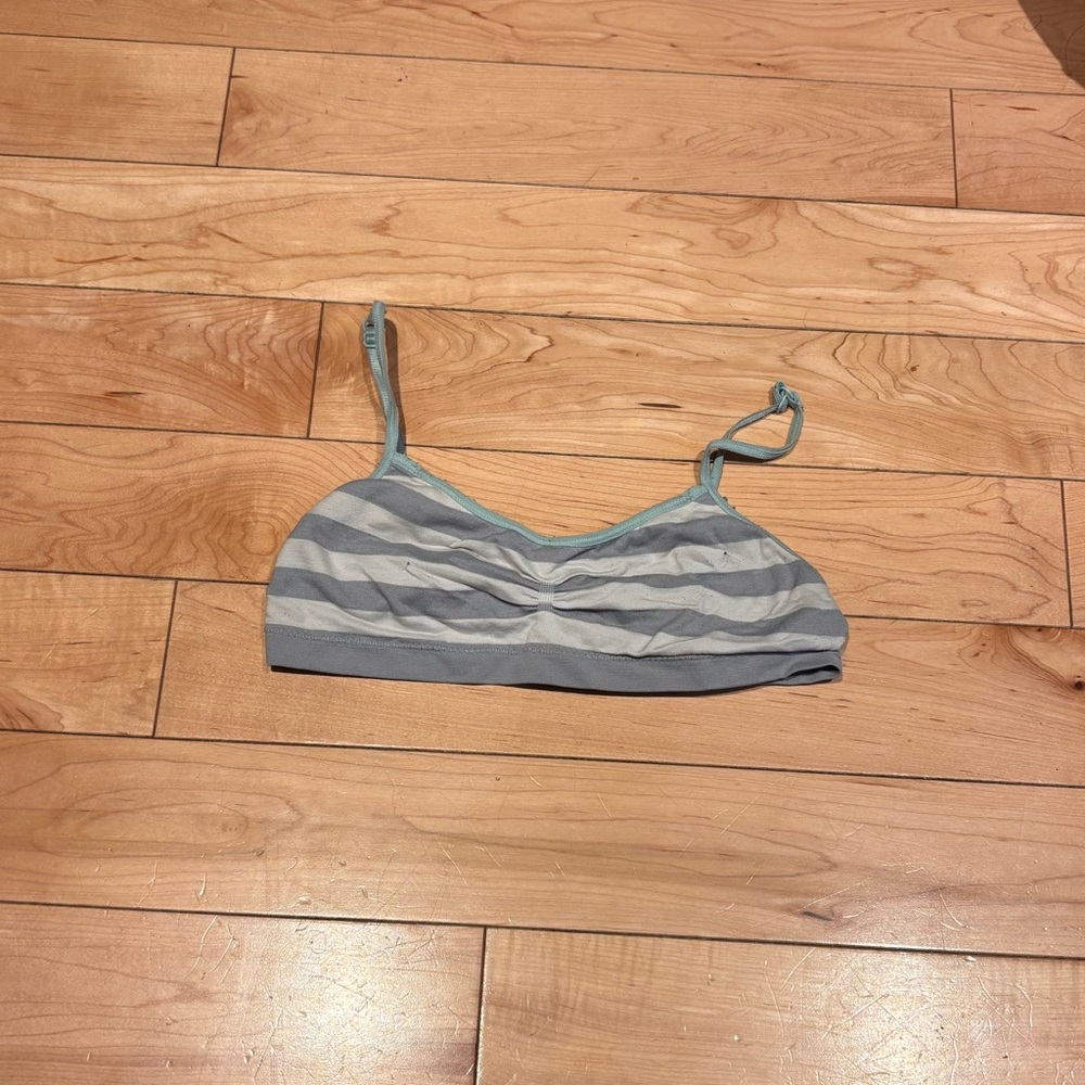 Striped Blue and Gray Bralette